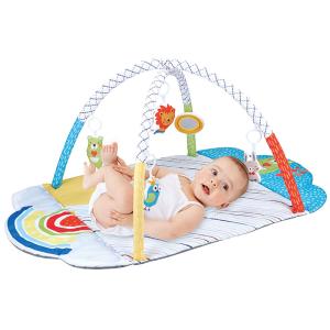 Tiny Paws Multi-Functional Baby Play Gym &ndash; Tummy Time Mat & Sensory Toys (Model: ZL2301)